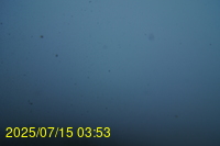 Img20250715_035335.jpg