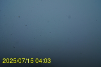 Img20250715_040335.jpg