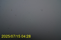 Img20250715_042835.jpg