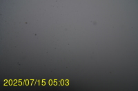 Img20250715_050335.jpg