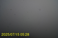 Img20250715_052835.jpg