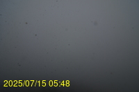Img20250715_054835.jpg