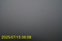 Img20250715_060835.jpg
