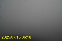 Img20250715_061835.jpg