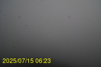 Img20250715_062335.jpg