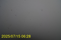 Img20250715_062835.jpg