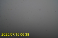 Img20250715_063835.jpg