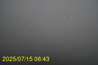 Img20250715_064335.jpg