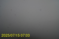 Img20250715_070335.jpg