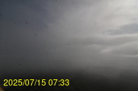 Img20250715_073335.jpg