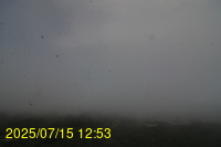 Img20250715_125337.jpg