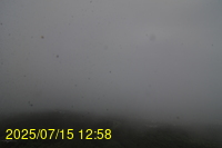 Img20250715_125837.jpg