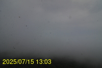 Img20250715_130337.jpg