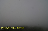 Img20250715_130837.jpg