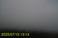 Img20250715_131337.jpg