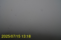 Img20250715_131837.jpg