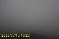 Img20250715_132337.jpg