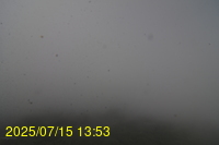Img20250715_135337.jpg