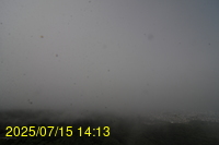 Img20250715_141337.jpg