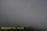 Img20250715_142337.jpg