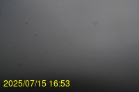 Img20250715_165338.jpg