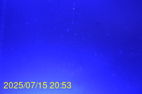 Img20250715_205339.jpg