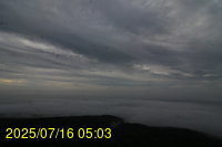 Img20250716_050341.jpg
