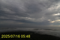 Img20250716_054841.jpg