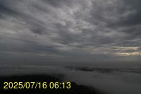 Img20250716_061341.jpg
