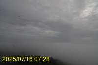 Img20250716_072841.jpg