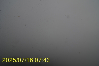 Img20250716_074341.jpg