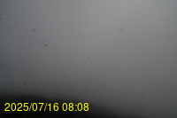 Img20250716_080841.jpg