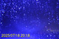 Img20250718_201854.jpg