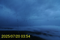 Img20250720_035402.jpg