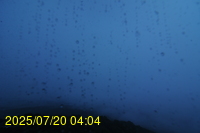 Img20250720_040402.jpg