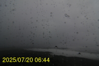 Img20250720_064402.jpg