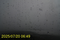 Img20250720_064902.jpg