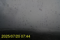 Img20250720_074403.jpg
