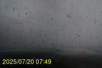 Img20250720_074903.jpg