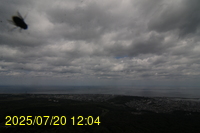 Img20250720_120404.jpg