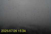Img20250726_153431.jpg