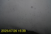 Img20250726_153931.jpg