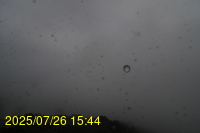 Img20250726_154431.jpg
