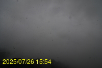 Img20250726_155431.jpg