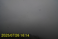 Img20250726_161431.jpg