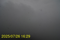Img20250726_162931.jpg