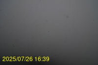 Img20250726_163931.jpg