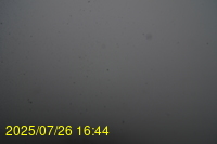 Img20250726_164431.jpg