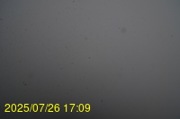 Img20250726_170931.jpg