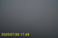 Img20250726_174931.jpg